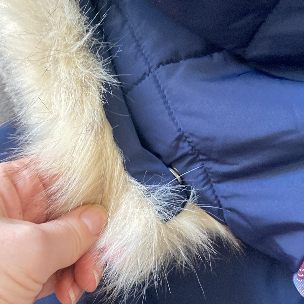 Gap Primaloft Vest - image 3